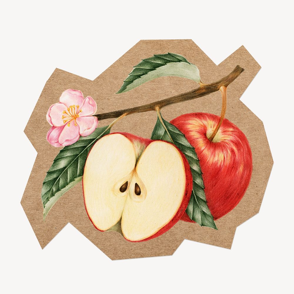 Red apple fruit, cut out paper element
