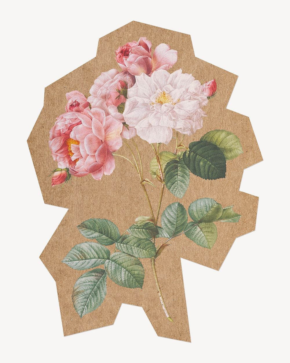 Blooming pink rosebush, cut out paper element. Artwork from Pierre Joseph Redouté remixed by rawpixel.