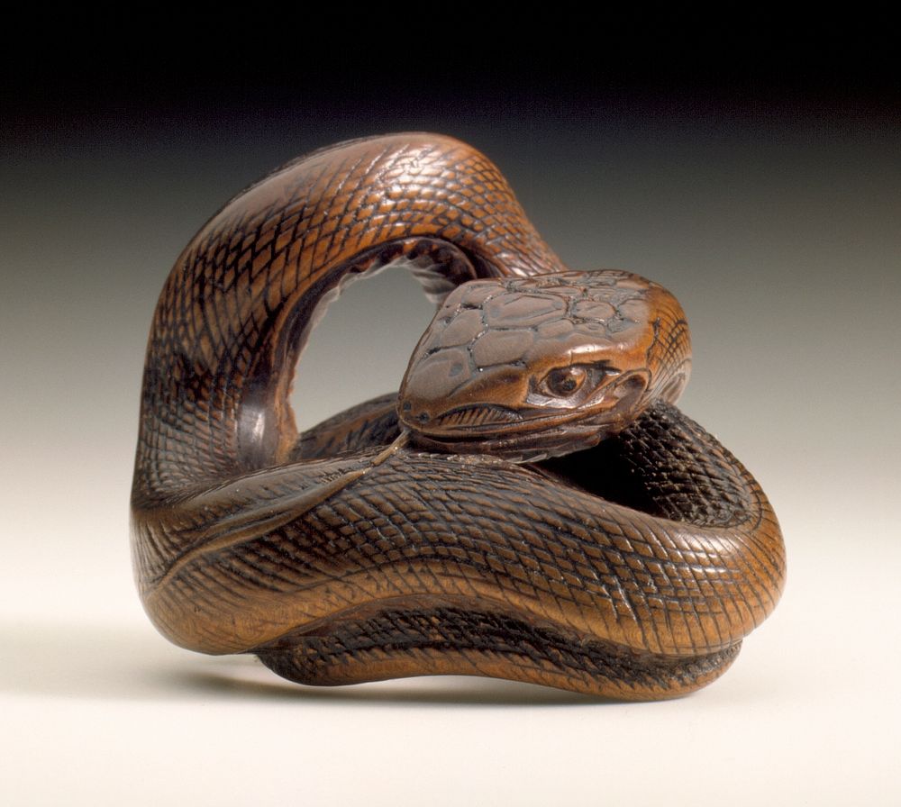 Snake by Hōkkyō Sessai