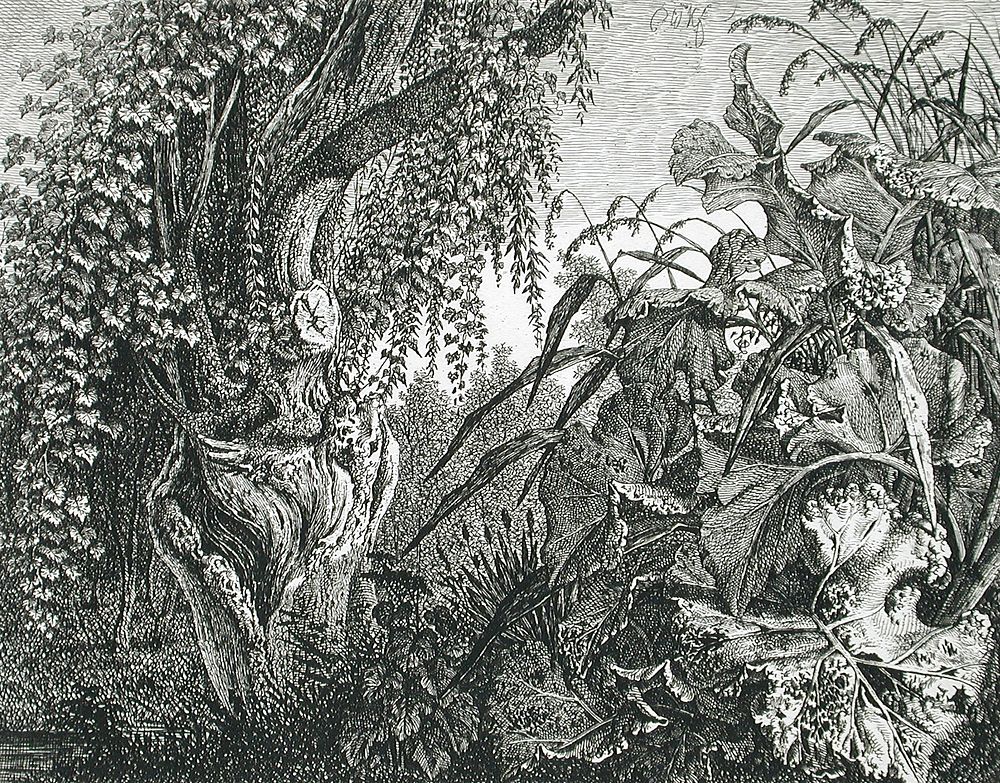 A Tree with Giant Vegetation by Carl Wilhelm Kolbe I