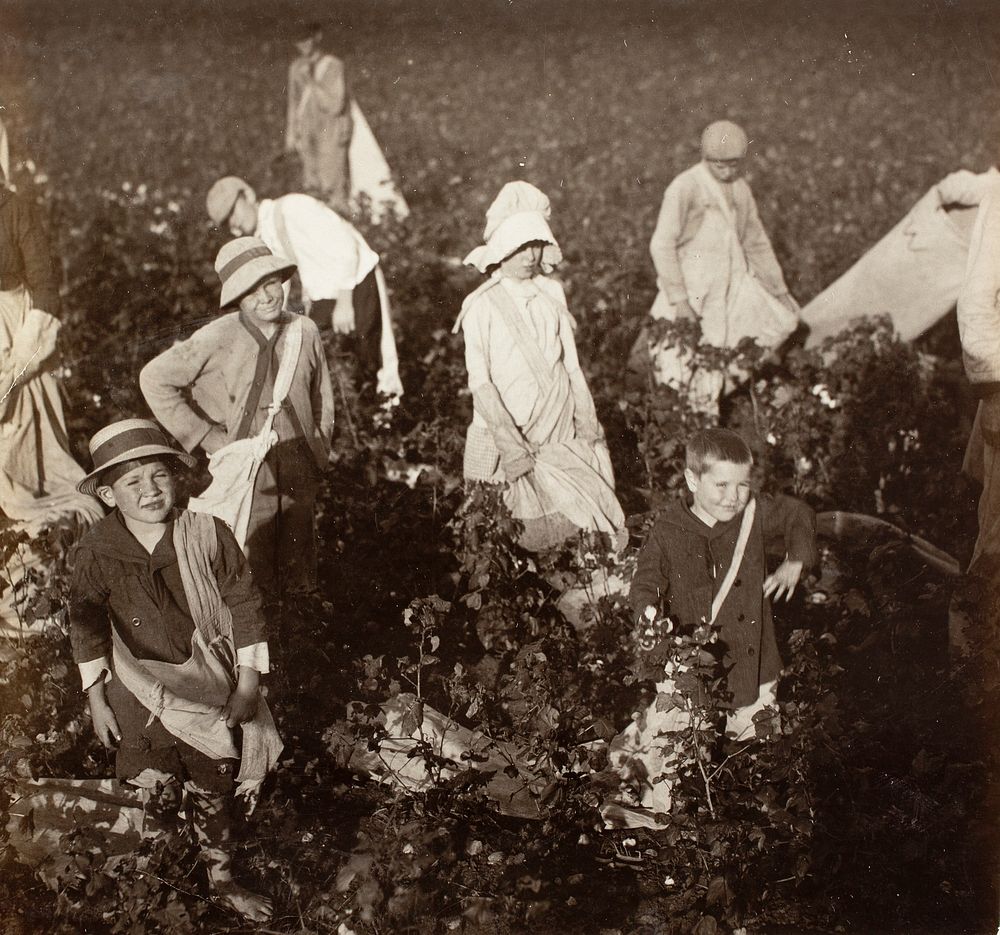 Near Waxahachie, Tex. by Lewis Wickes Hine