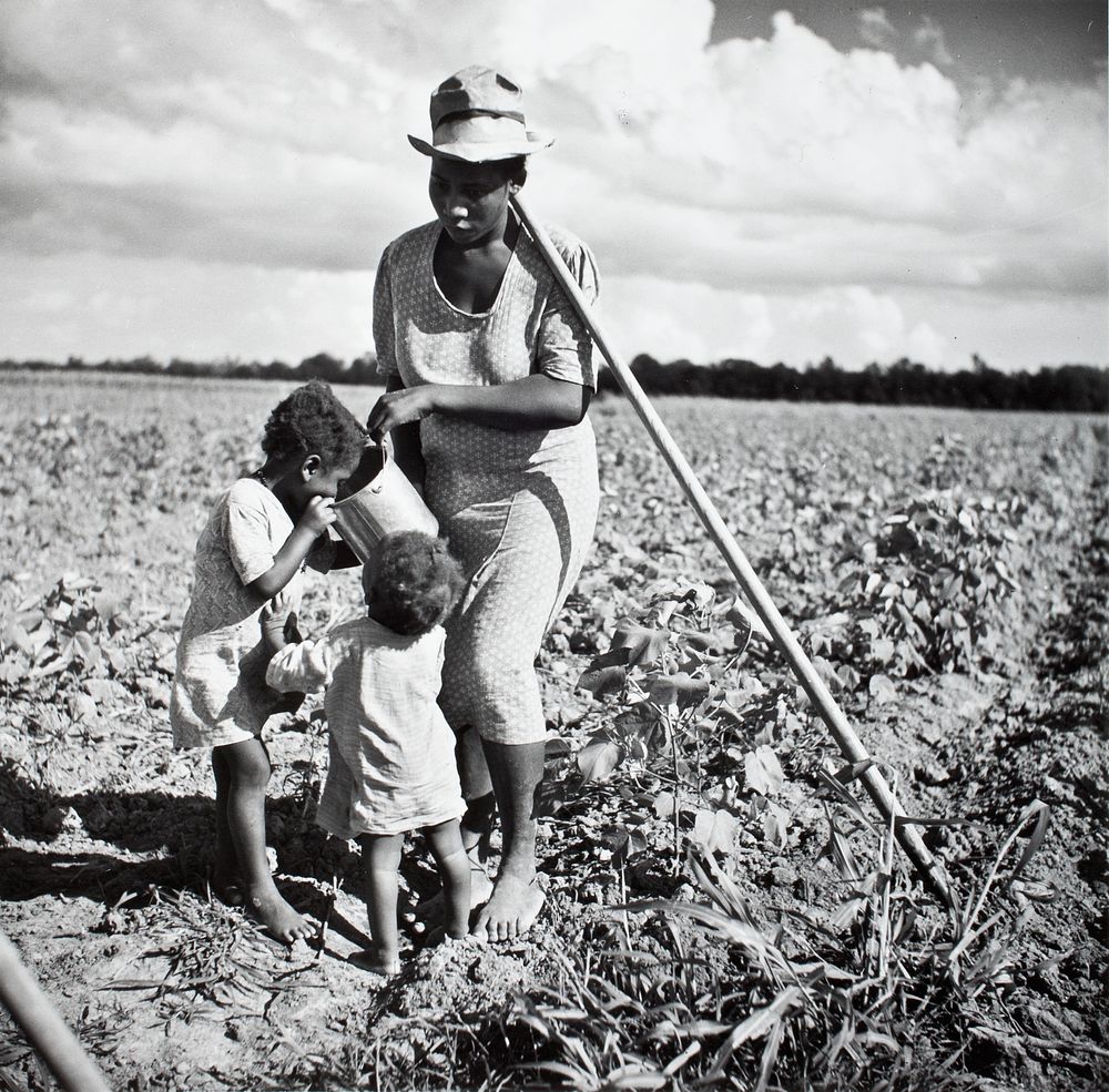 Fsa - Allen Plantation by Marion Post Wolcott