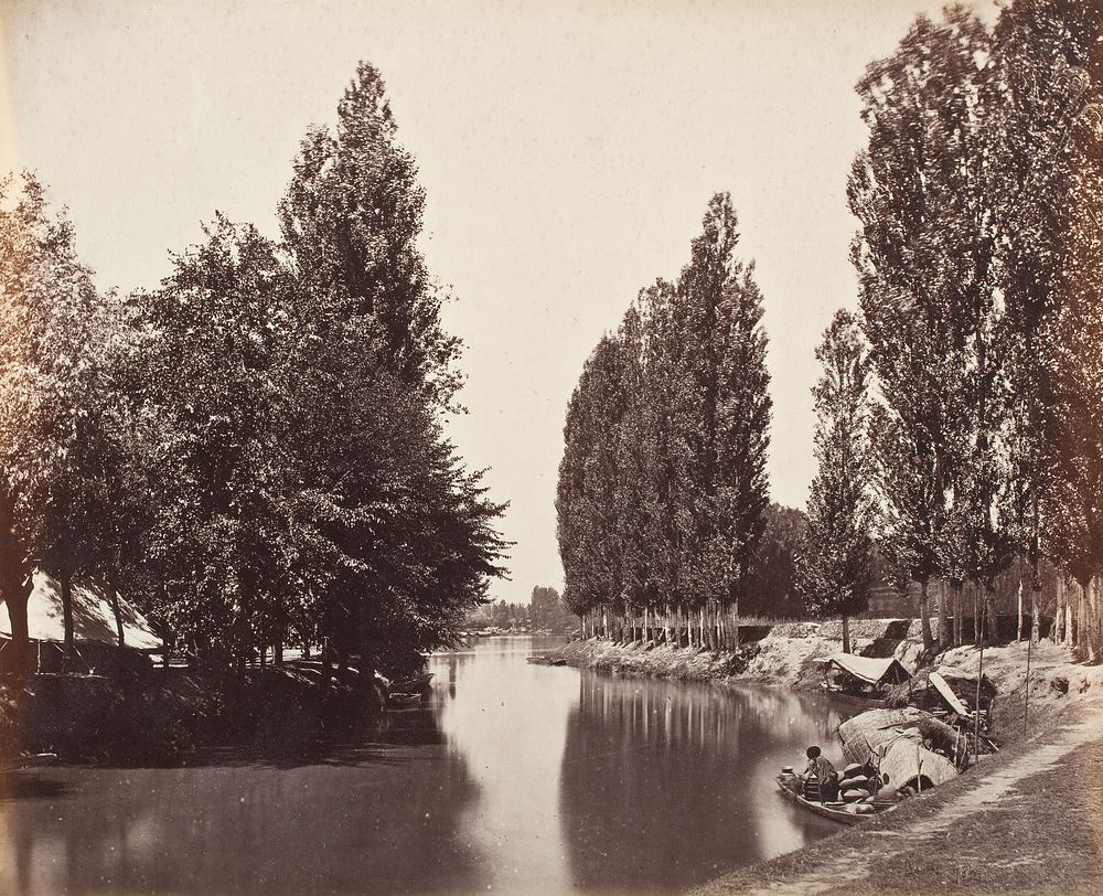 River With Trees (India) by Samuel Bourne