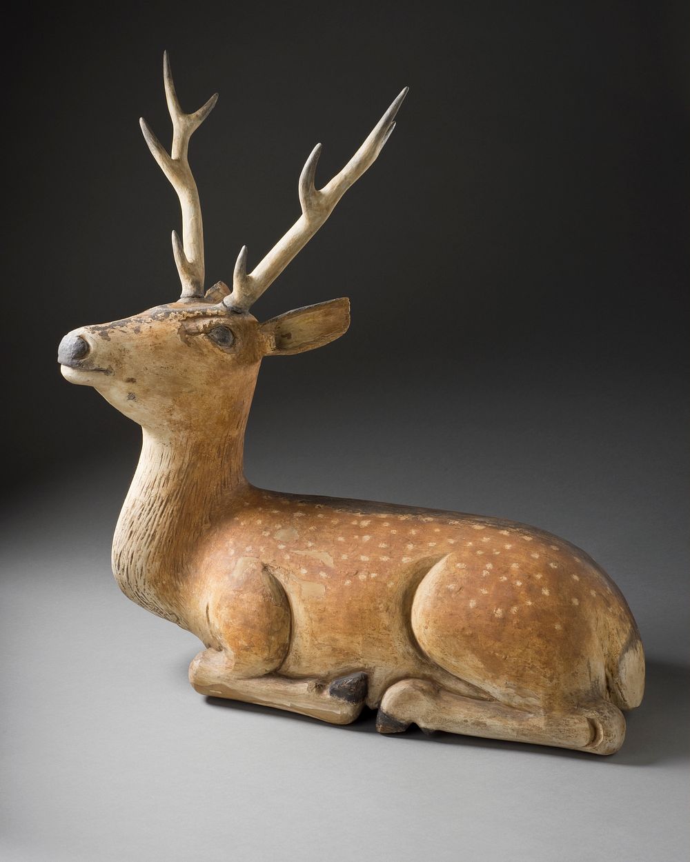 Sacred Deer of Kasuga Shrine