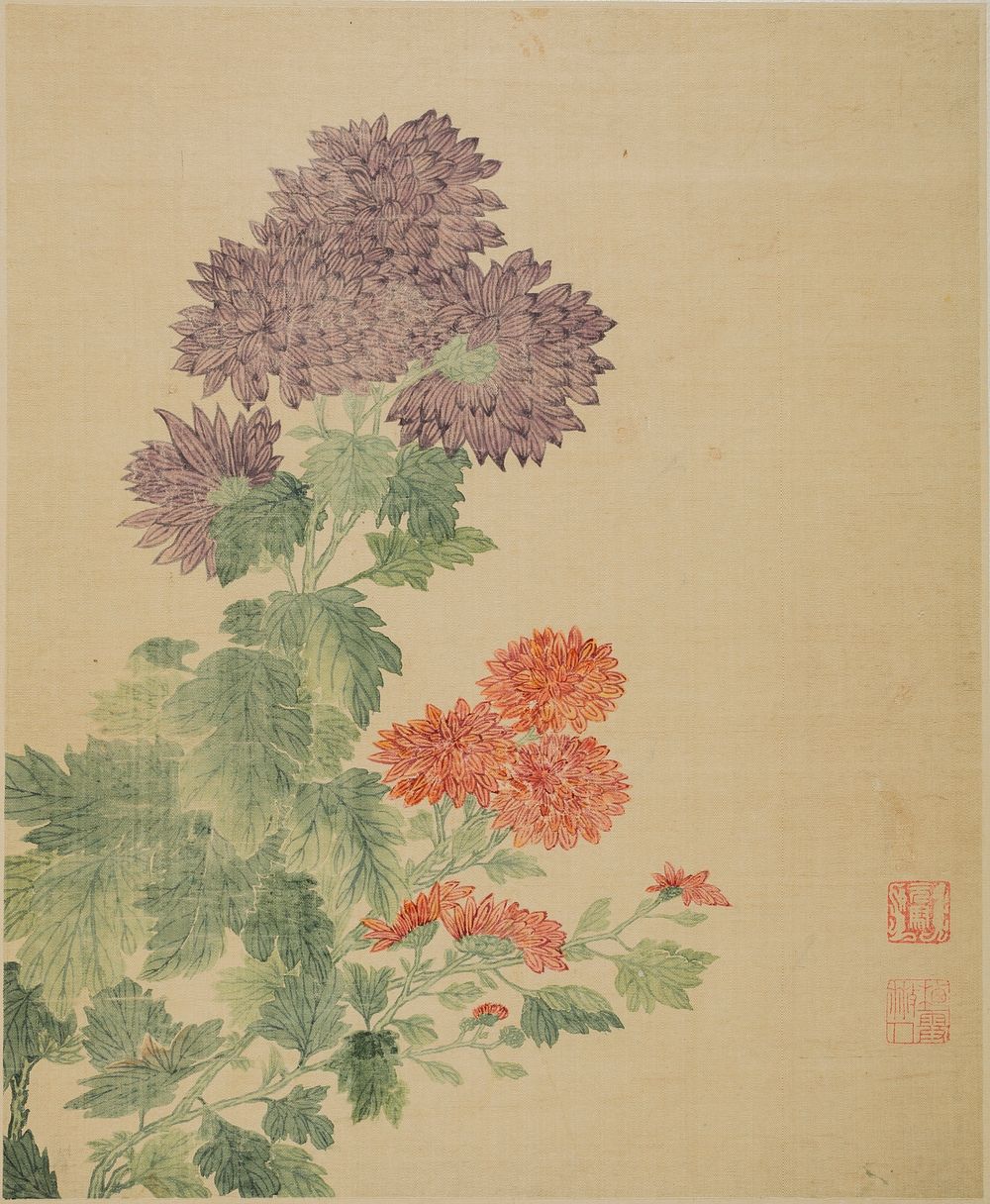 Chrysanthemums by Ma Yuanyu