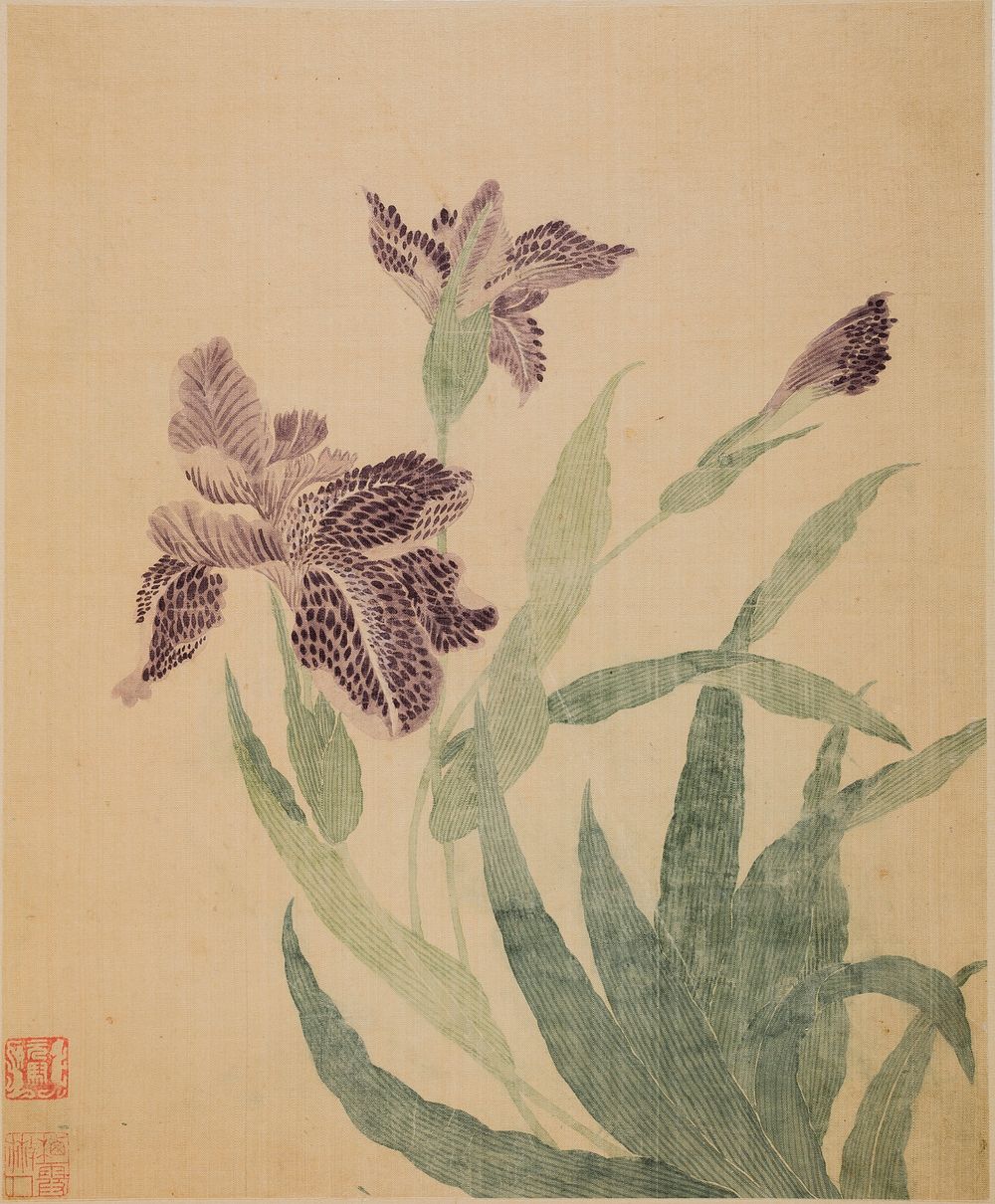 Irises by Ma Yuanyu