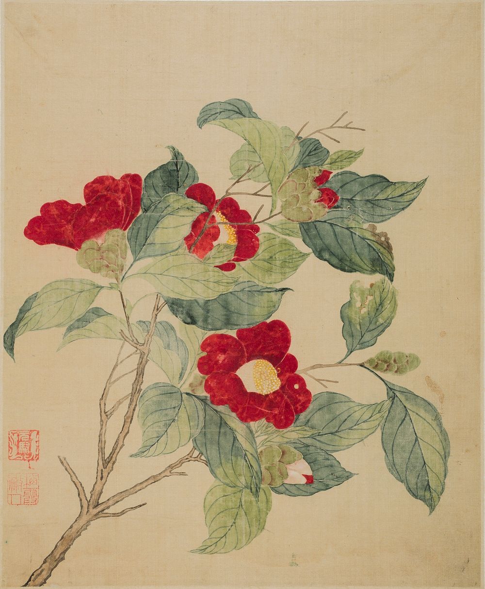 Camellias by Ma Yuanyu