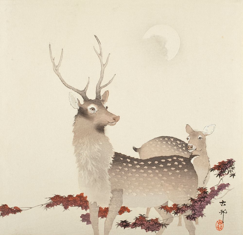 Deer and Moon by Ohara Shōson