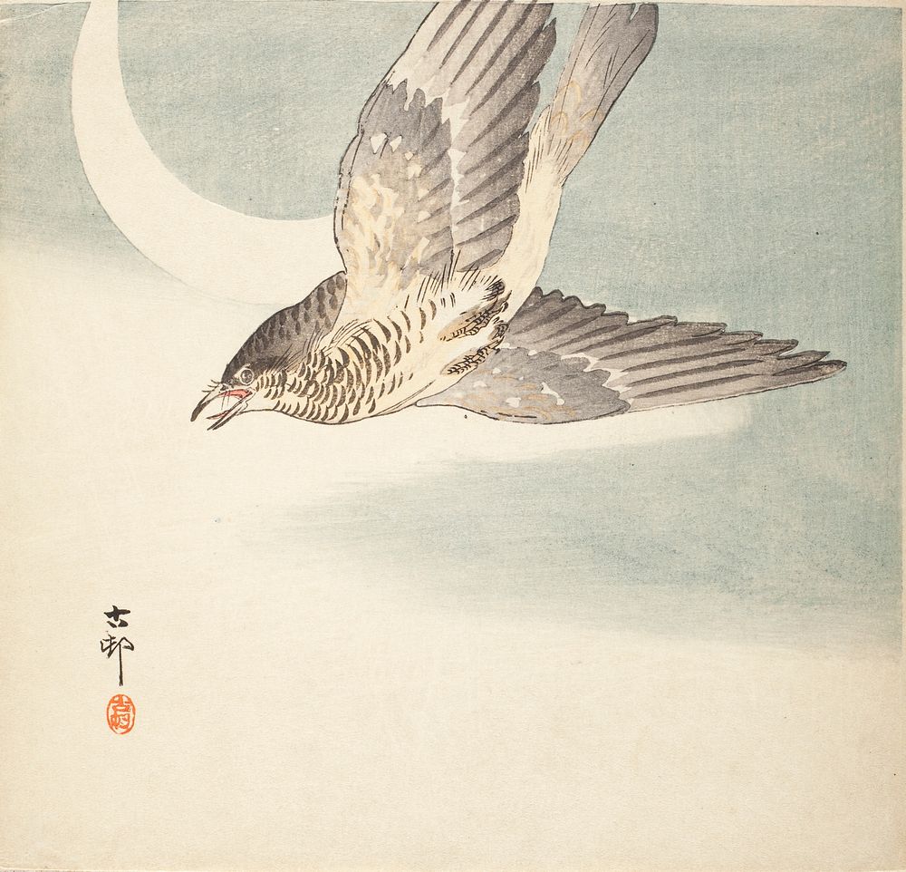 Japanese Cuckoo with Moon by Ohara Shōson