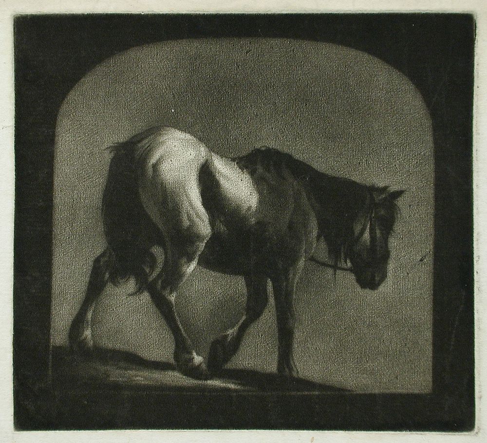 Horse by Anonymous