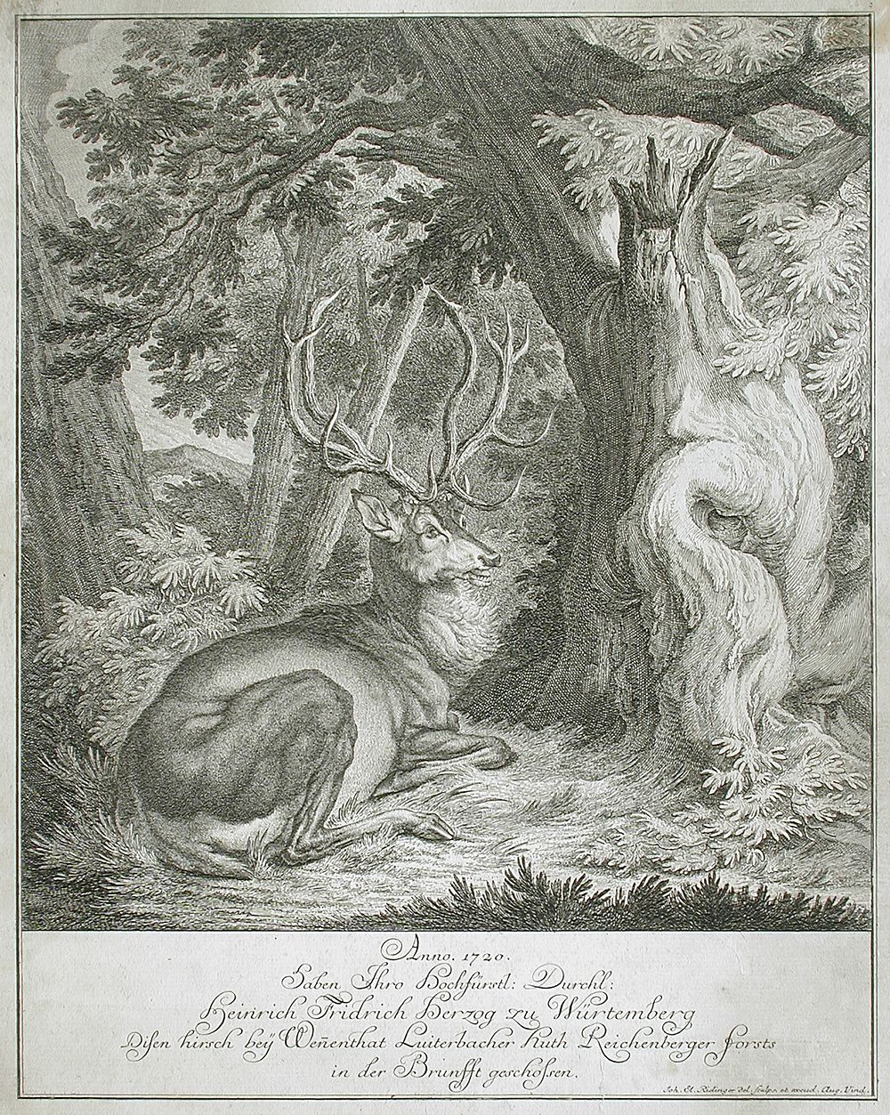 Resting Elk in Forest by Johann Elias Ridinger