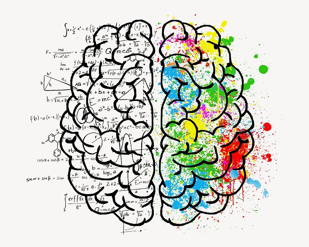 Brain illustration, isolated image