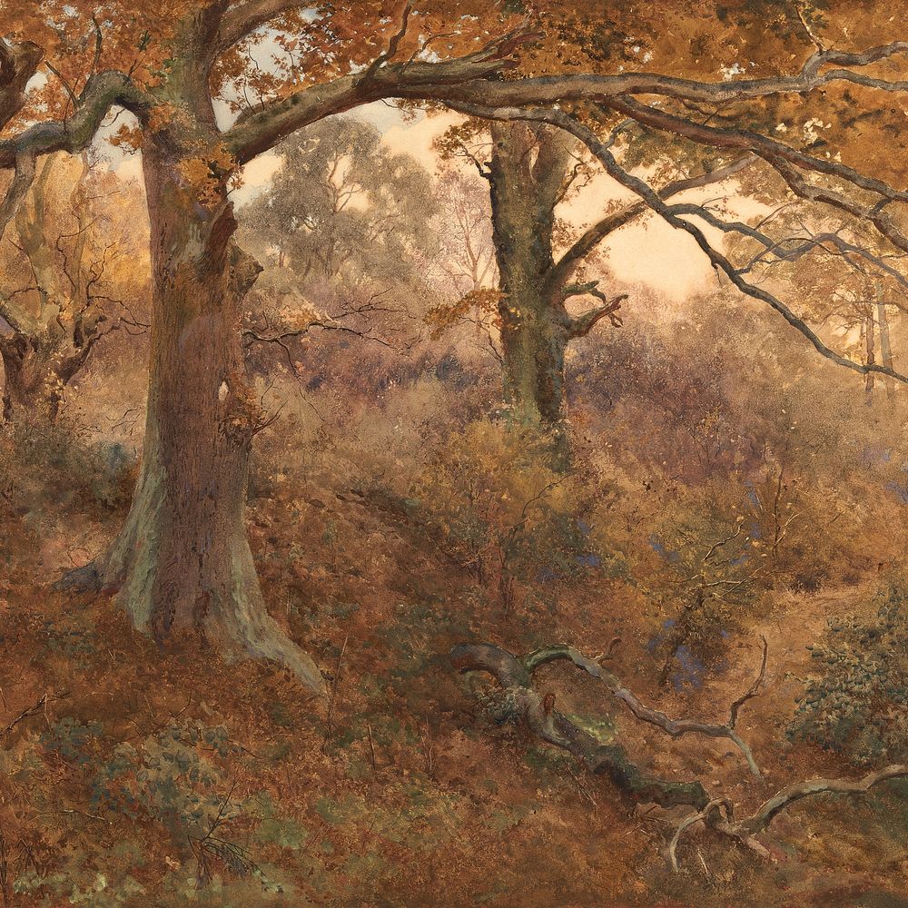 Forest Landscape, nature illustration by John William North. Remixed by rawpixel.