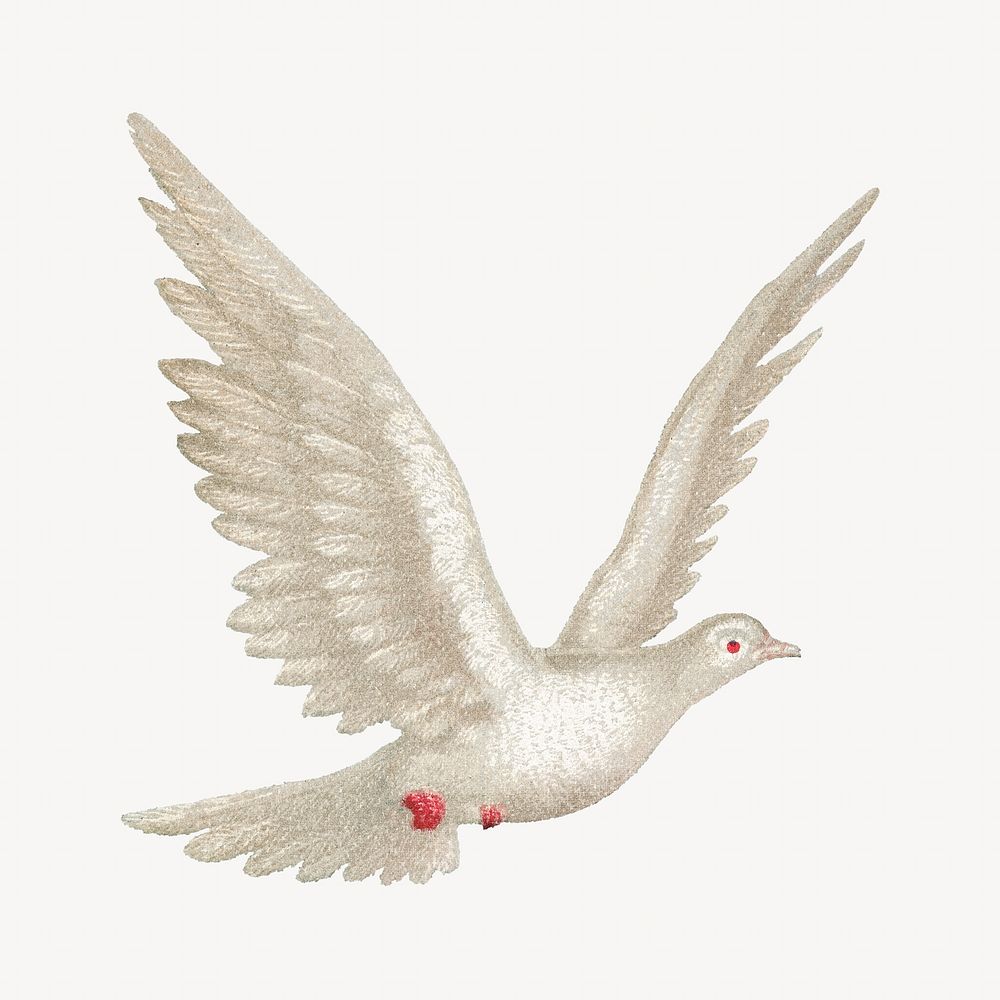Flying dove, vintage bird illustration. Remixed by rawpixel.