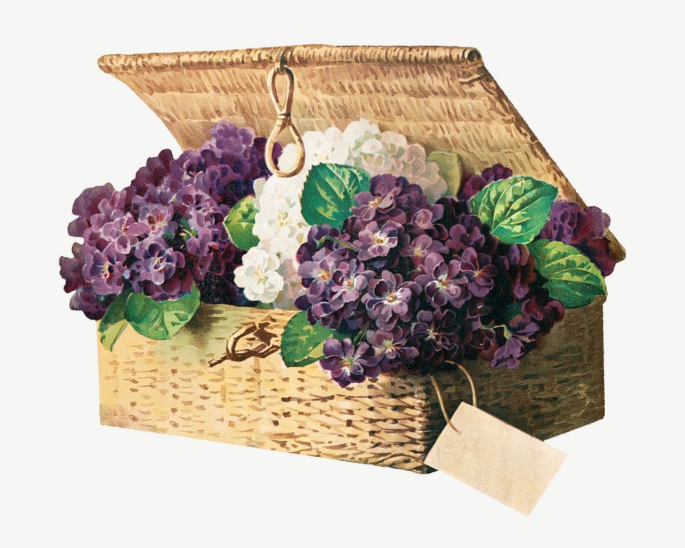 Invoice of violets, vintage purple flower basket illustration  by Paul de Longpr&eacute; psd. Remixed by rawpixel.