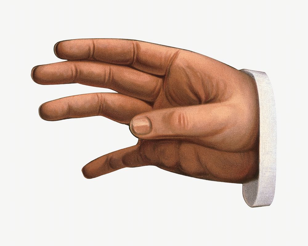 Businessman's hand, vintage gesture illustration. Remixed by rawpixel.