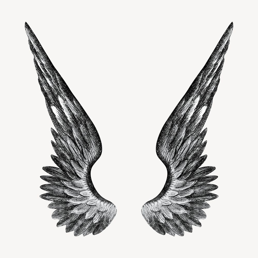 Angel's wings, vintage illustration. Remixed by rawpixel.