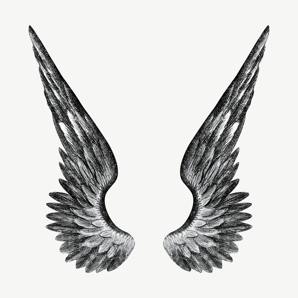 Angel's wings, vintage illustration psd. Remixed by rawpixel.