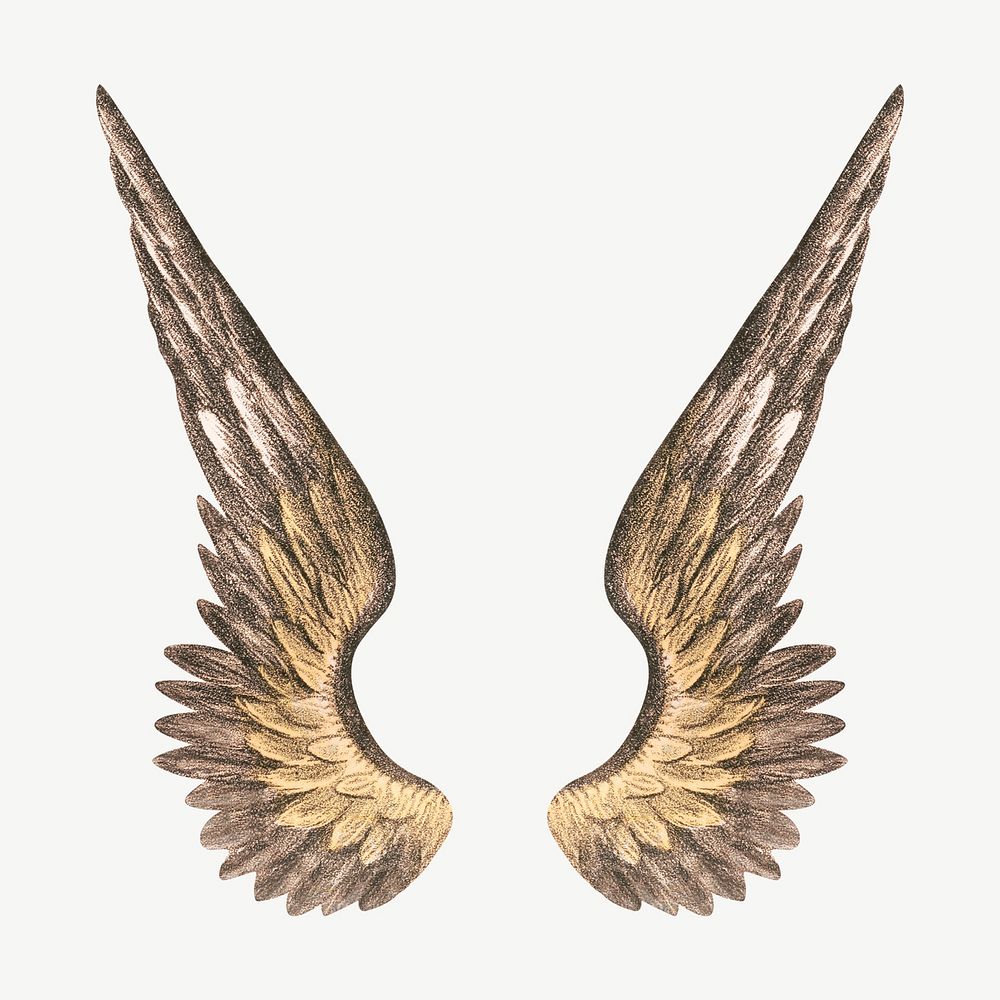 Angel's wings, vintage illustration psd. Remixed by rawpixel.