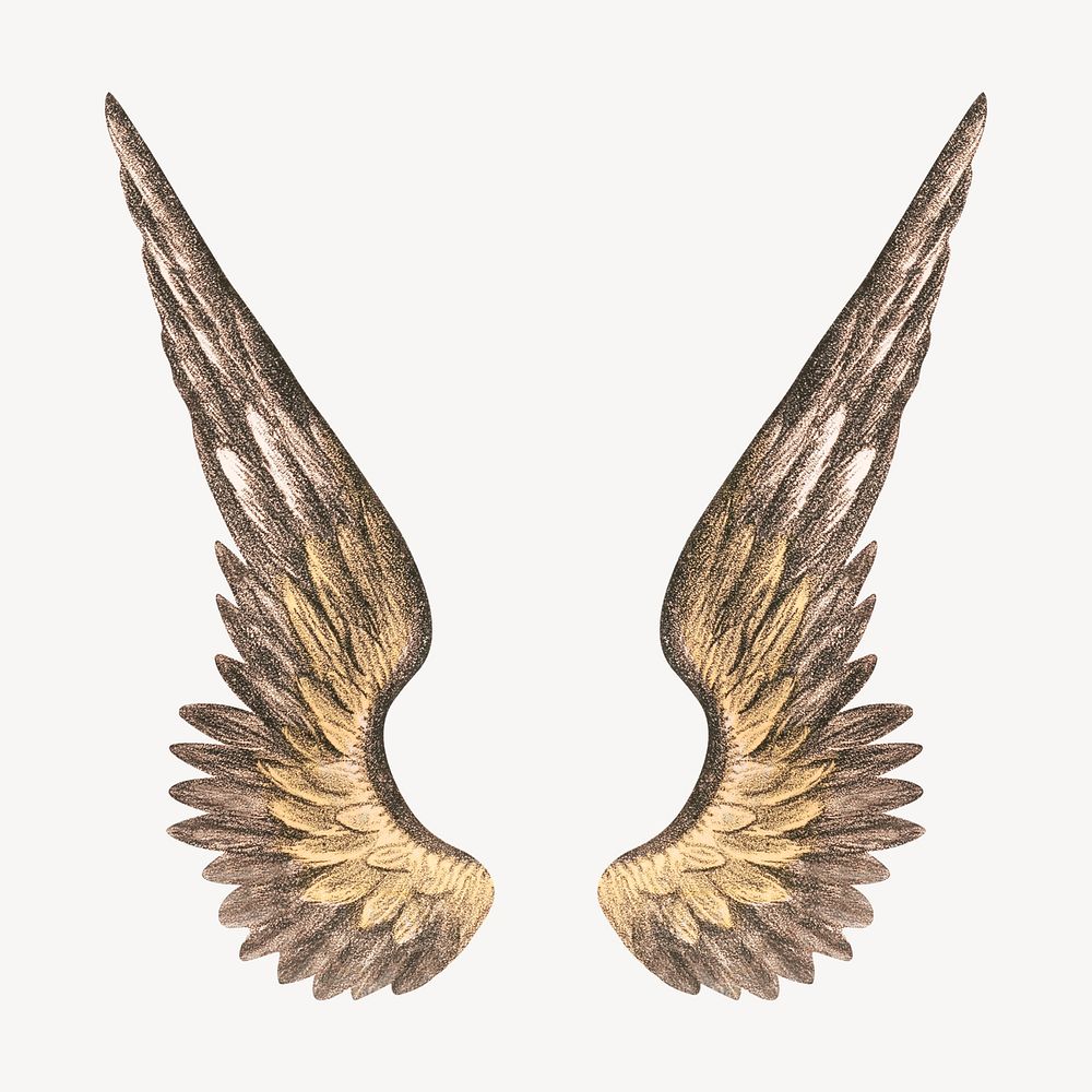 Angel's wings, vintage illustration. Remixed by rawpixel.