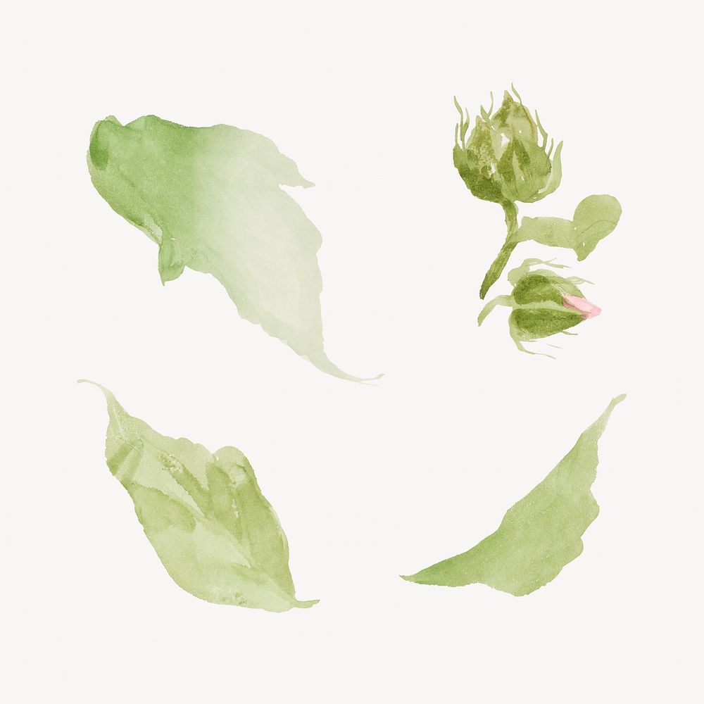 Green leaves watercolor illustration element. Remixed from vintage artwork by rawpixel.
