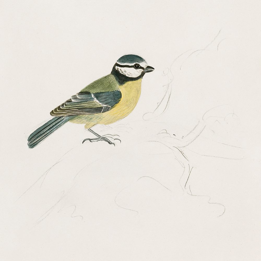 Robin goldfinch nude