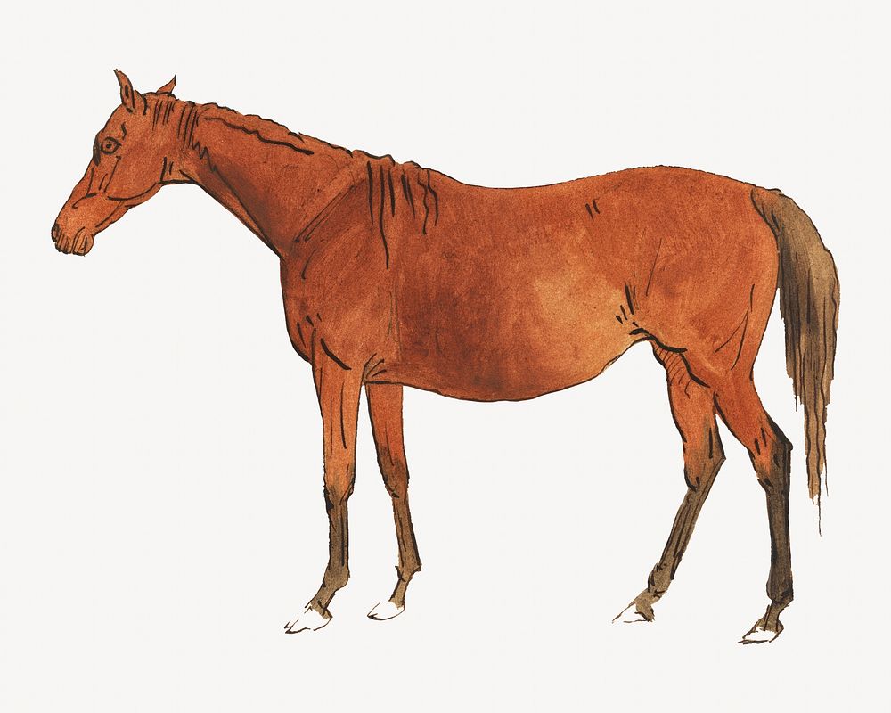 Brown horse watercolor illustration element. Remixed from Sawrey Gilpin artwork, by rawpixel.