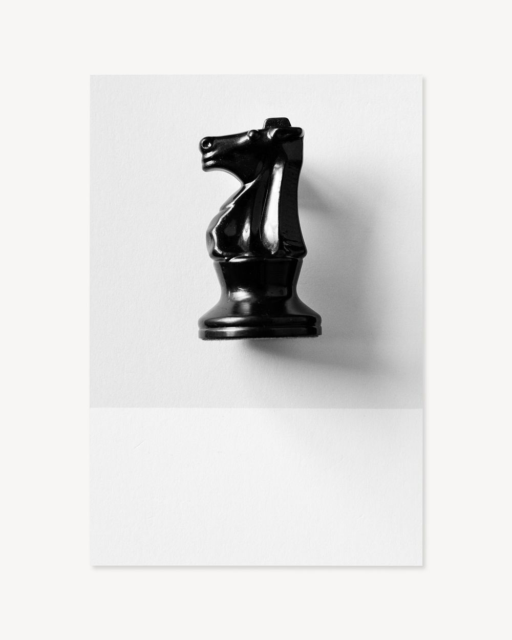 Knight chess piece isolated image