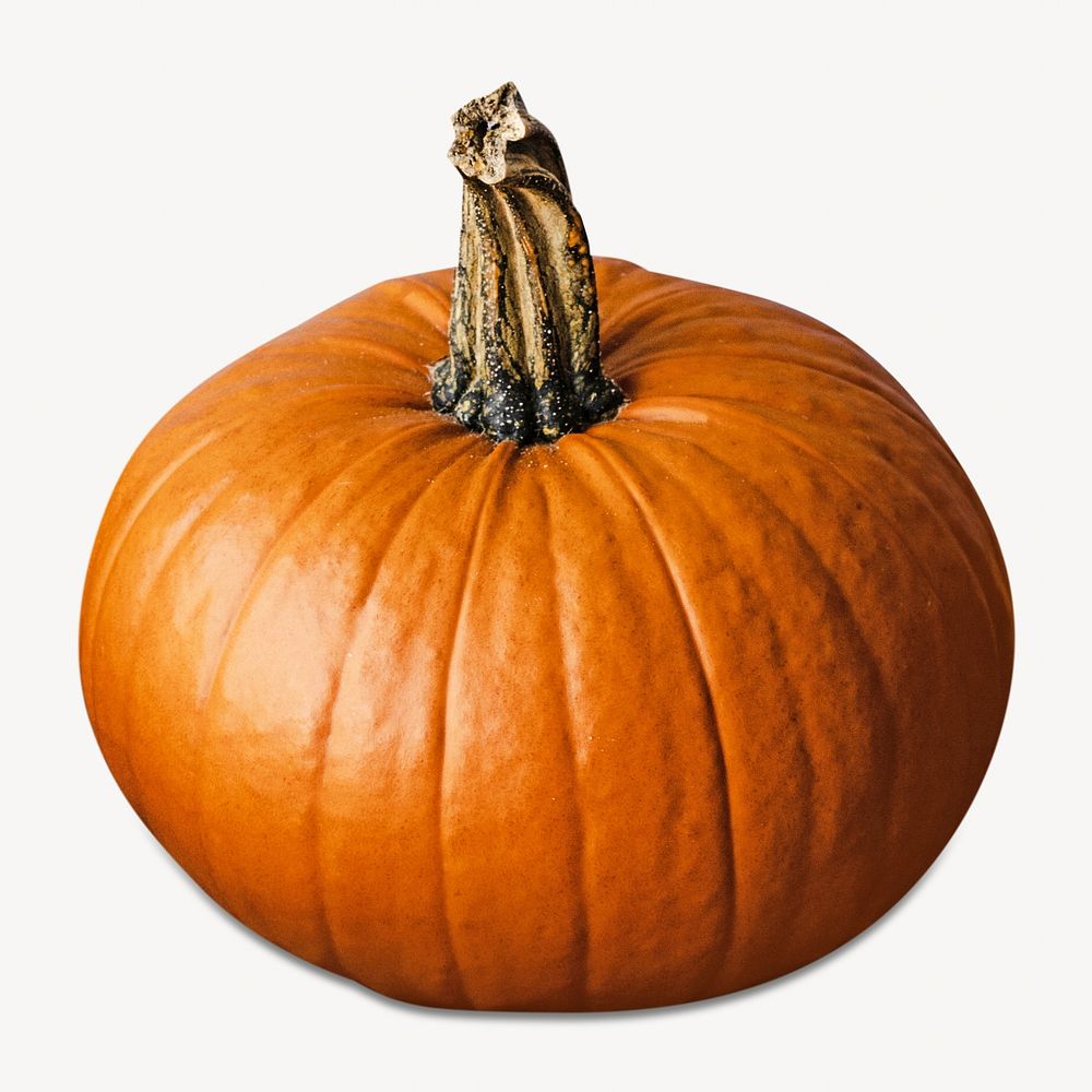 Jack o' Lantern pumpkin isolated image