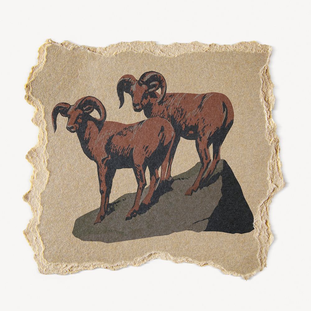 Bighorn sheep illustration, ripped paper. Remixed by rawpixel.