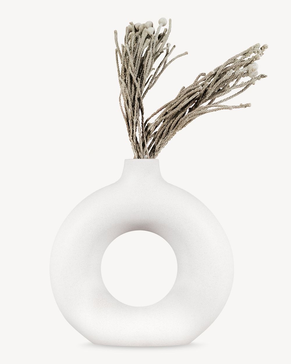 Aesthetic vase isolated image