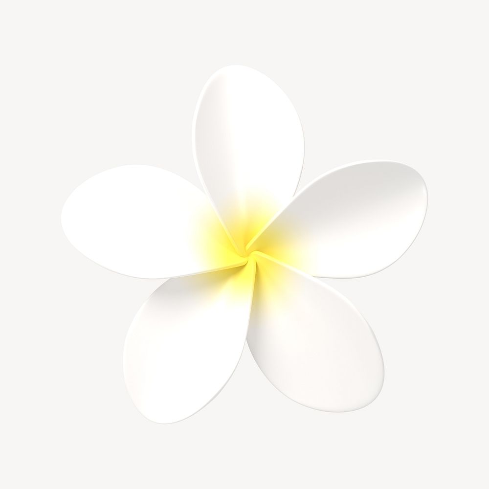 Cartoon white flower clipart, Frangipani design