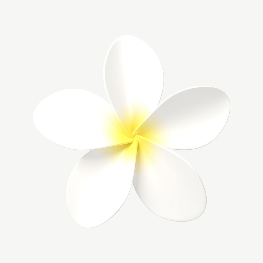 3D white flower collage element, Frangipani design psd