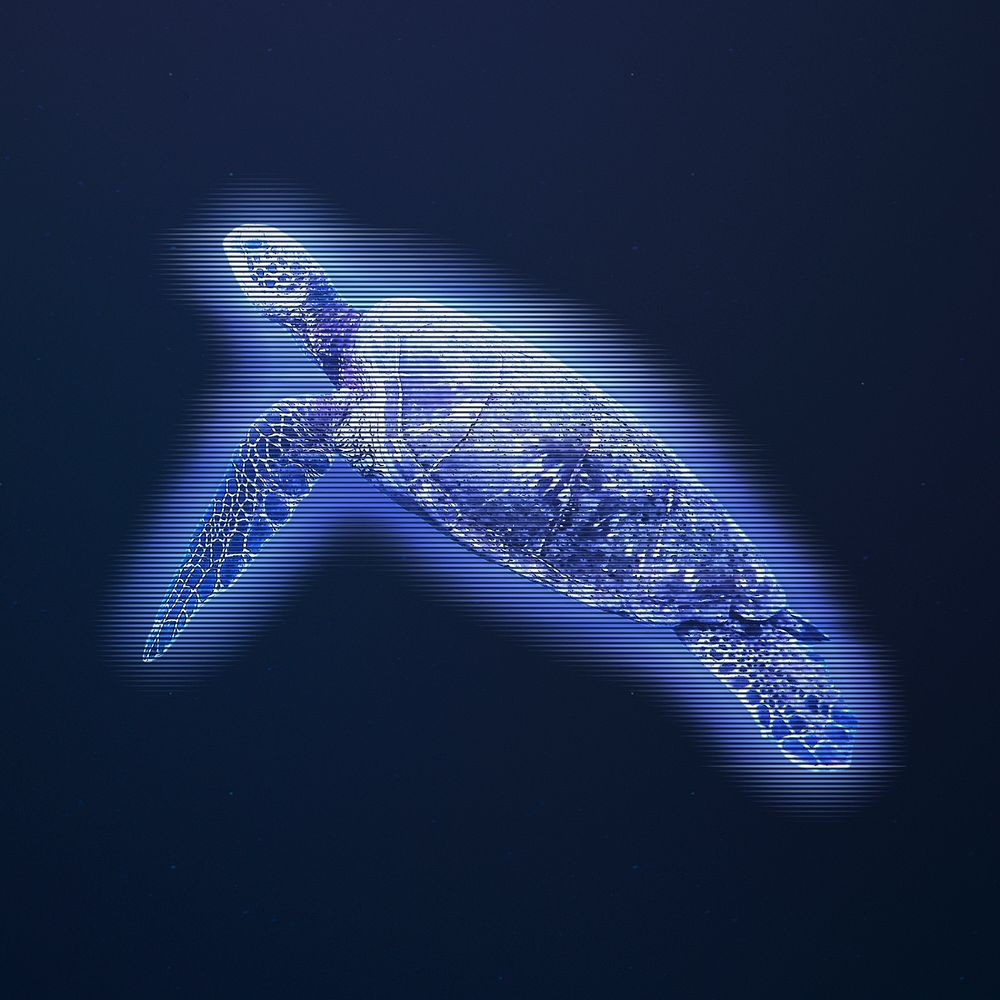 Sea turtle, blue digital remix