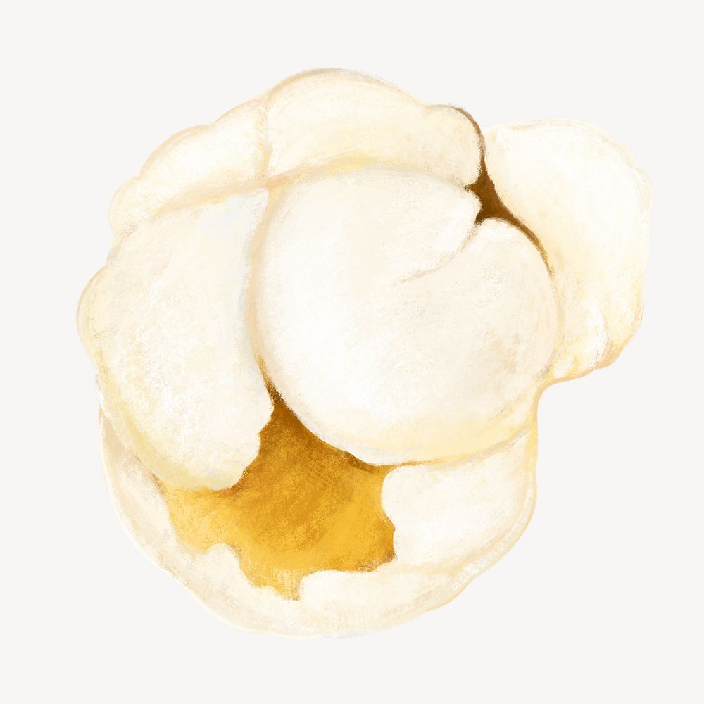 Popcorn snack, food illustration