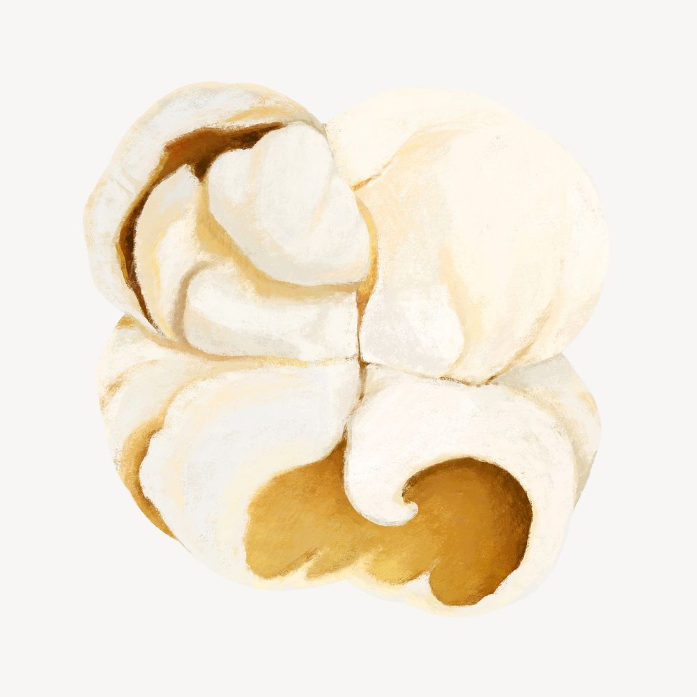 Popcorn snack, food illustration