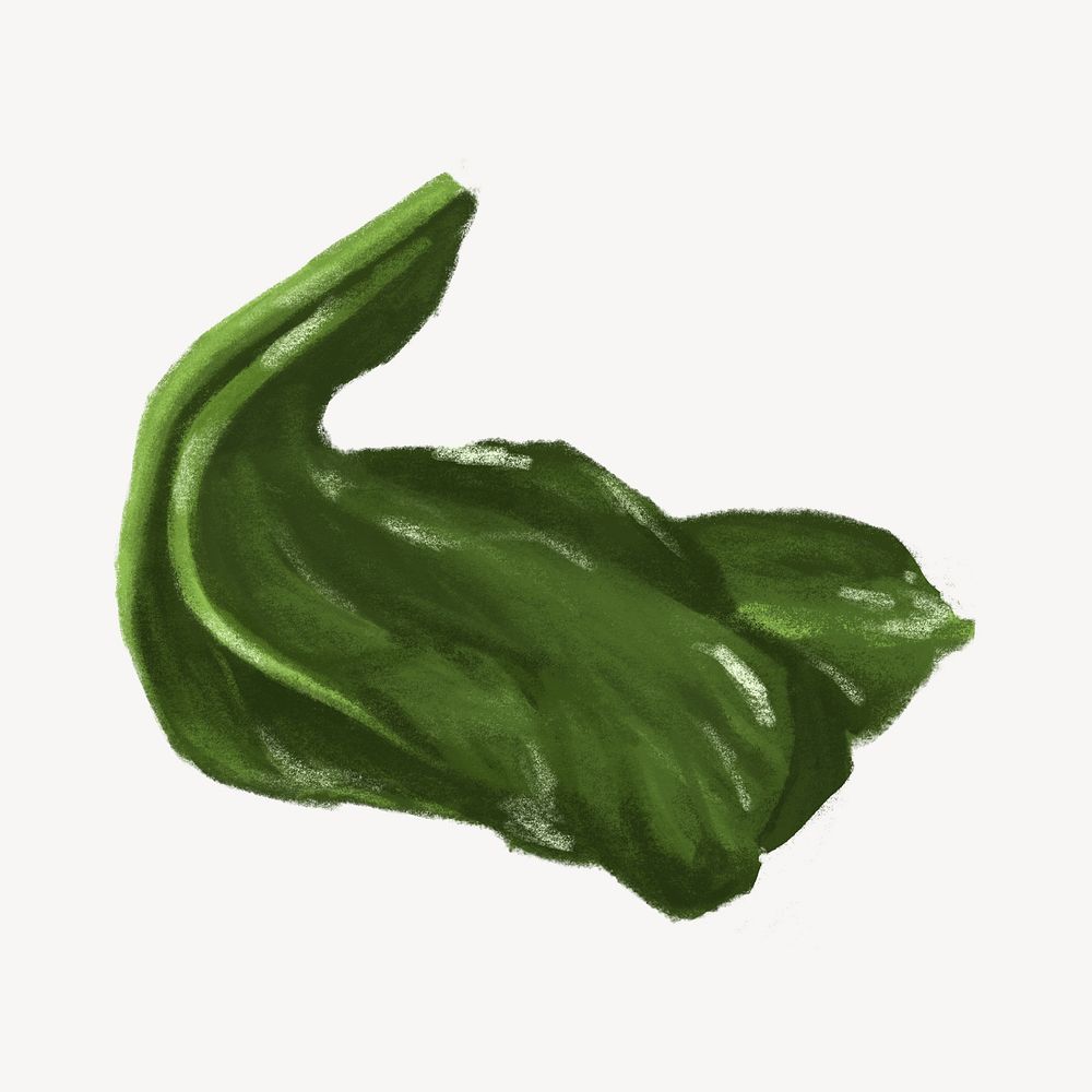 Spinach vegetable, healthy food illustration
