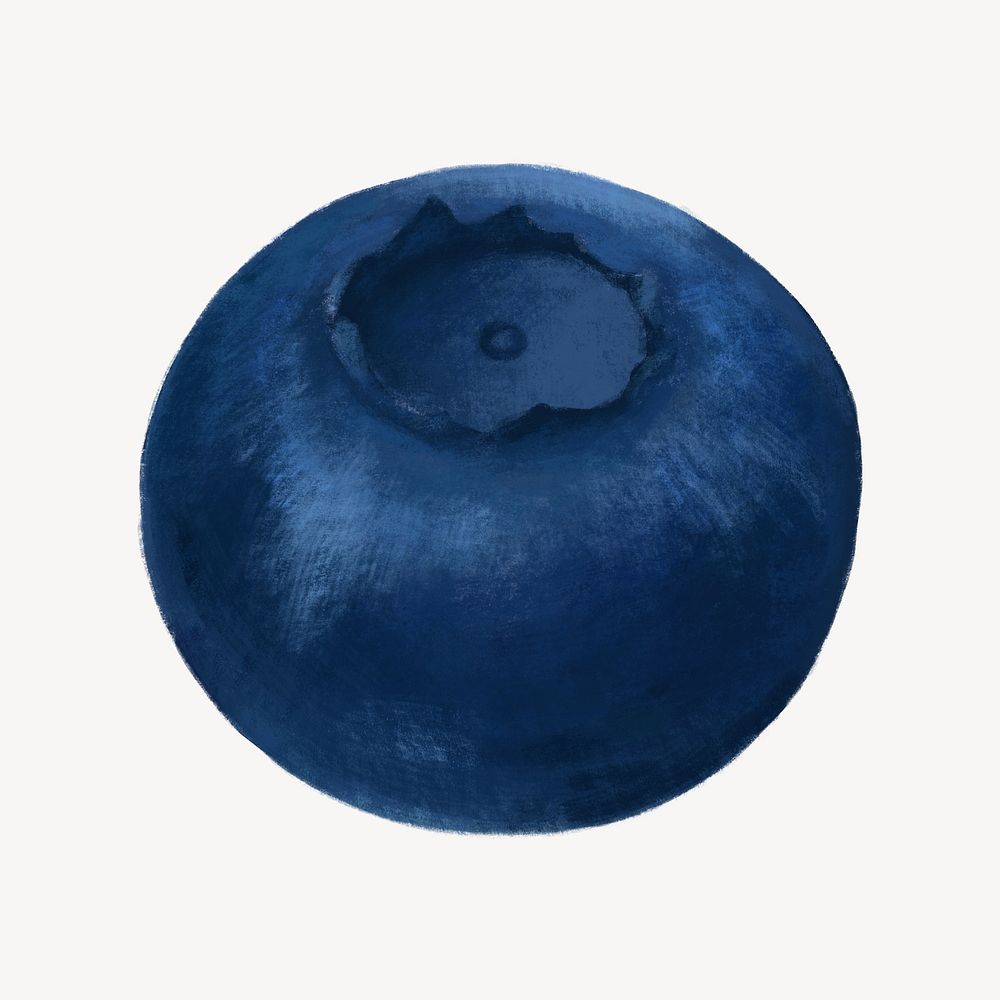 Blueberry fruit, healthy food illustration