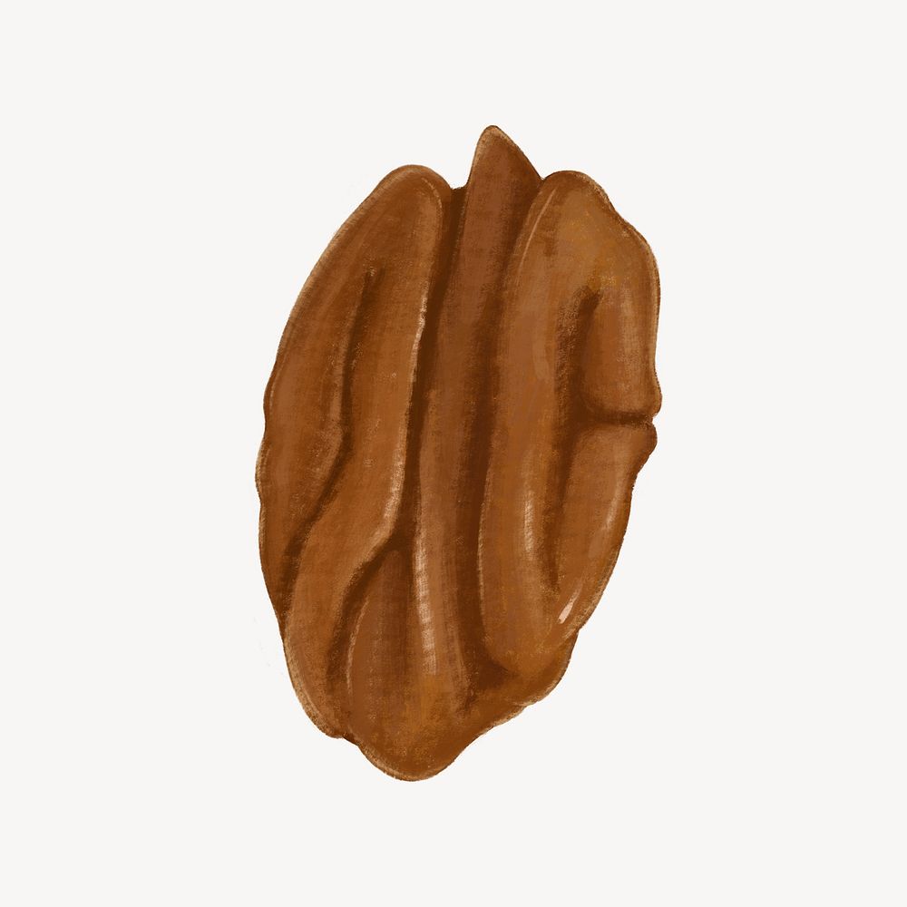 Walnut seed, food ingredient illustration