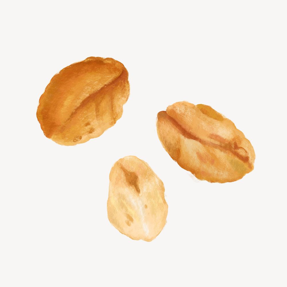 Peanut seed, food ingredient illustration