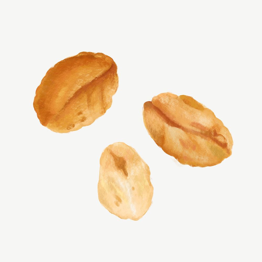 Peanut seed, food ingredient collage element psd