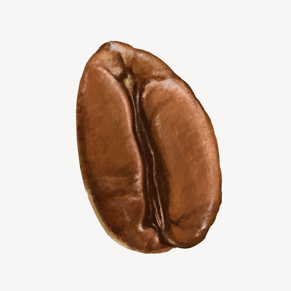 Coffee bean, ingredient illustration