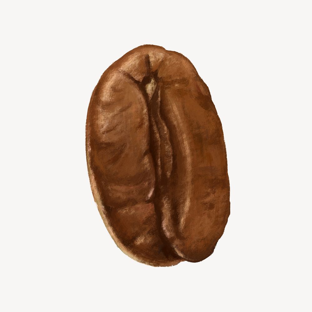 Coffee bean, ingredient illustration