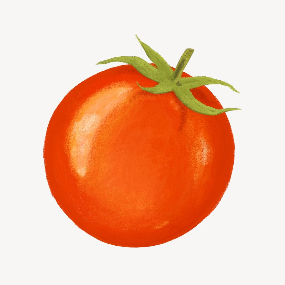 Cherry tomato vegetable, healthy food illustration