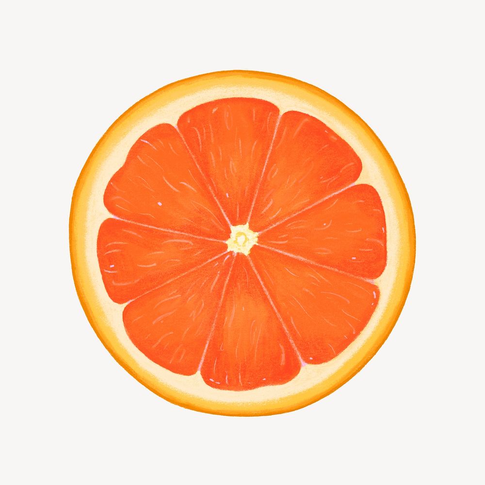Orange slice fruit, healthy food illustration