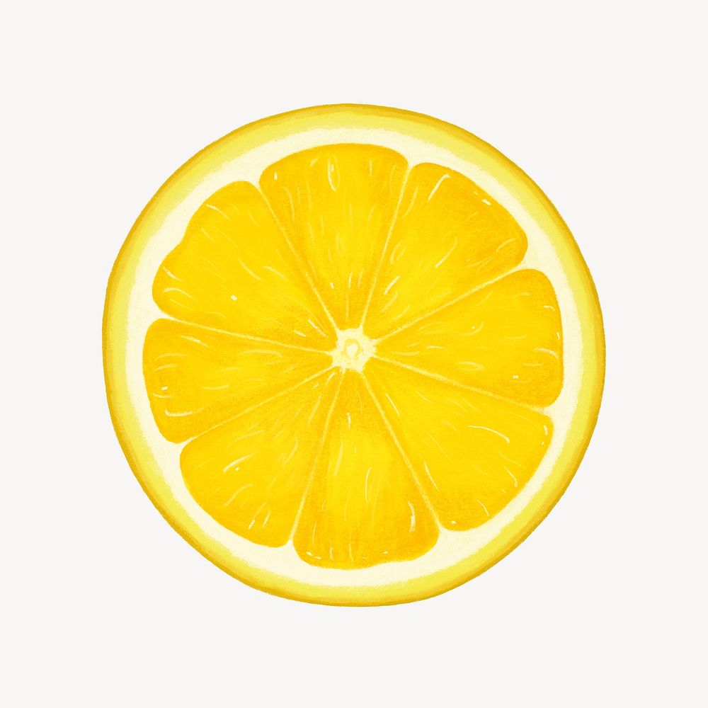 Lemon slice fruit, healthy food illustration