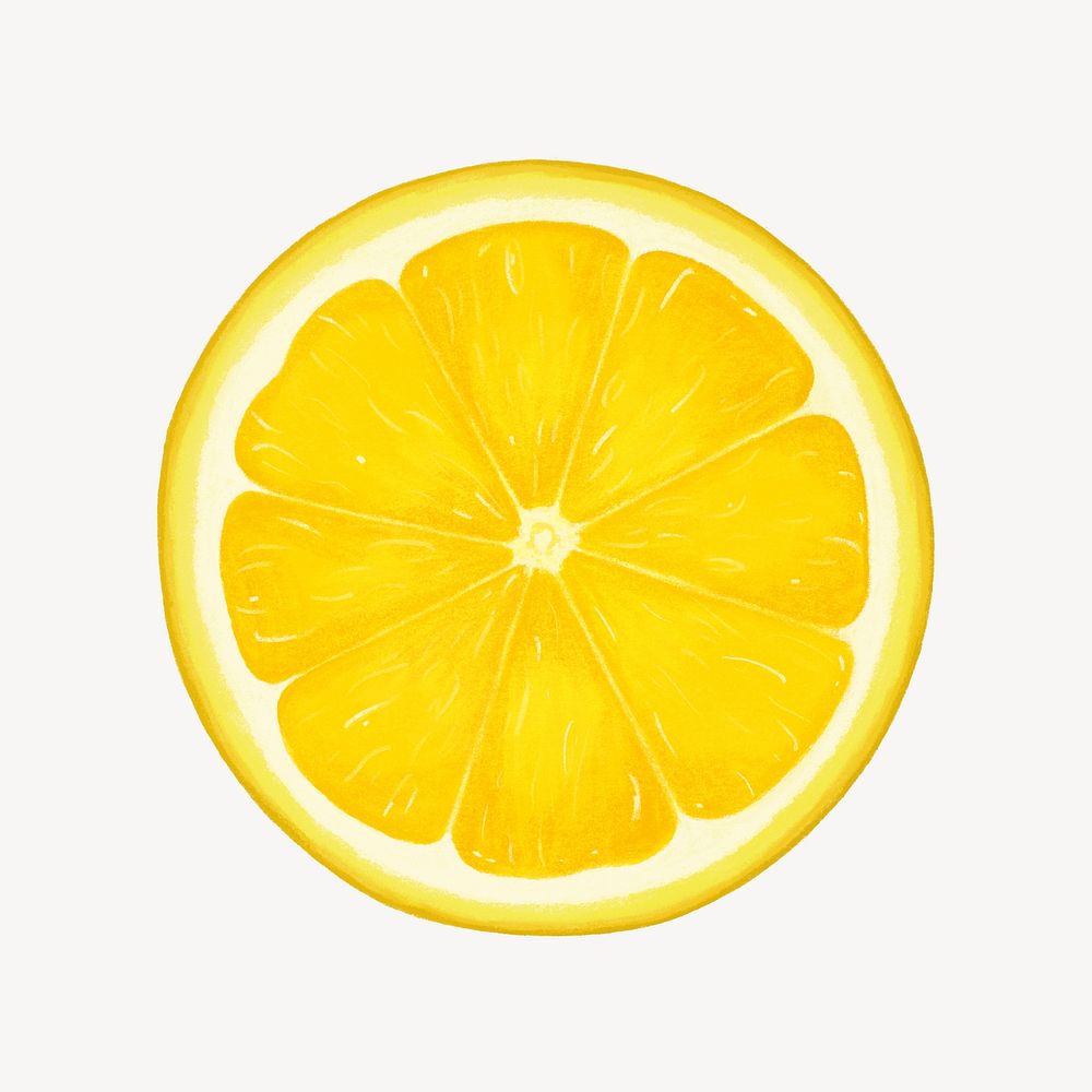 Lemon slice fruit, healthy food illustration