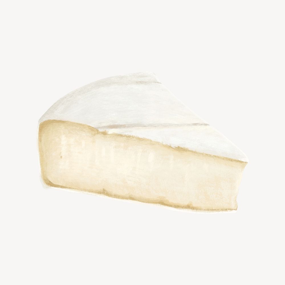 Parmesan cheese, dairy food illustration