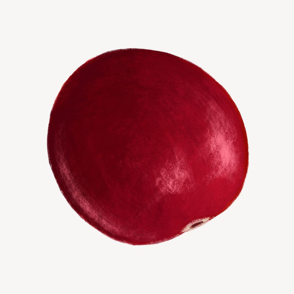 Cranberry fruit, healthy food illustration