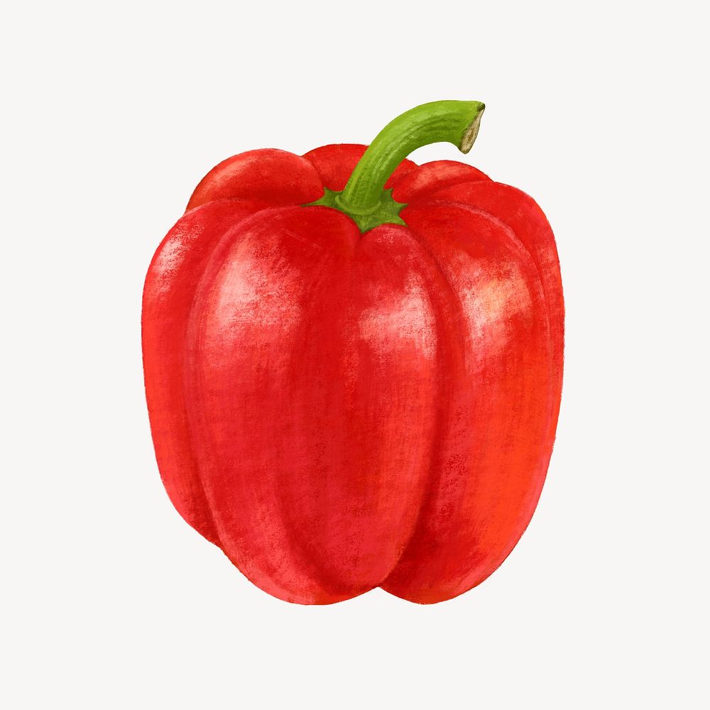 Red bell pepper vegetable, healthy food illustration